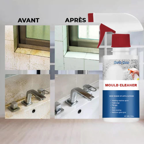 Spray Anti Moisissures