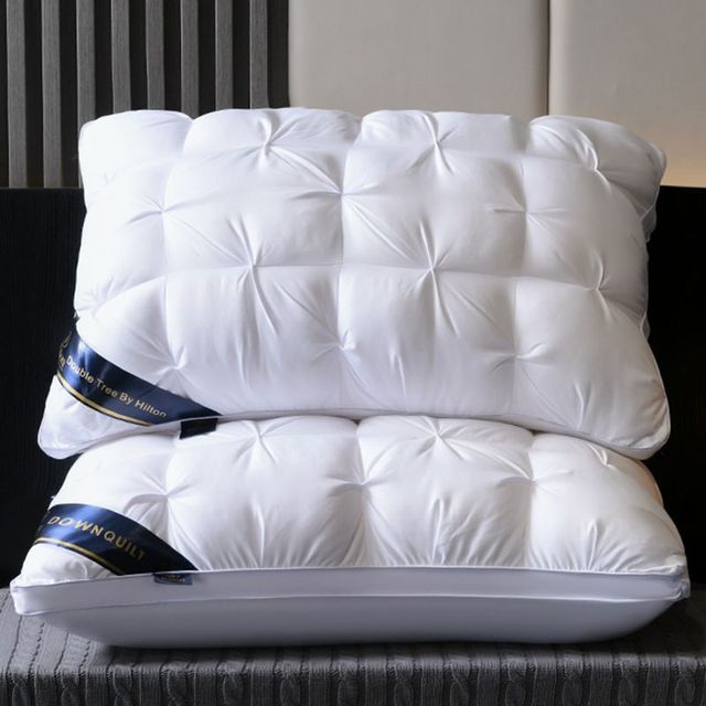 2x Oreiller d'Hôtel Luxueux